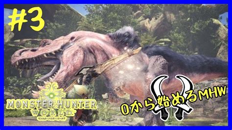 シャルっとmhw！0から始めるモンハンワールド！act3 モンハンワールド モンハンアイスボーン シャルっと配信 Youtube