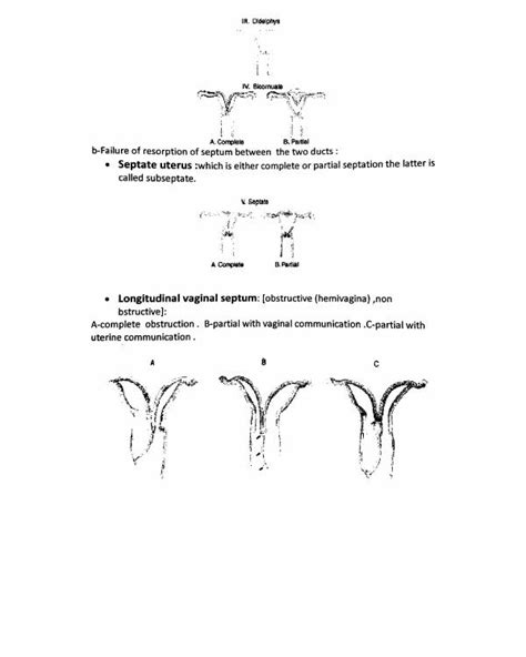 Normal And Abnormal Development Of The Female Genital Tract Pdf د رنا Muhadharaty