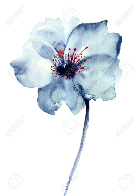 Fleur Bleue D Coratifs Illustration D Aquarelle Banque D Images