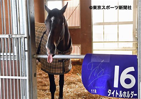 東スポ 写真部 On Twitter 2022年5月3日 競馬 調教 天皇賞（春） 1着 タイトルホルダー （横山和生 騎手） 茨城