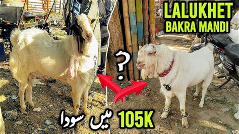 Lalukhet Bakra Mandi Karachi RATES On 18 Dec Bakra Mandi Karachi