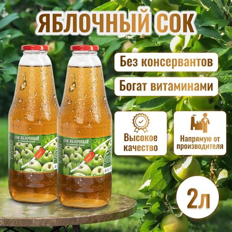 Сок яблочный, 2 штуки по 1 л - купить с доставкой по выгодным ценам в ...