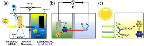 A General Schematic Of The Photoelectrochemical Cell Configuration