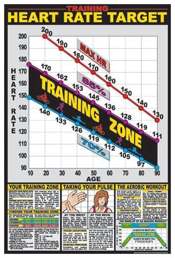 Cardio Training Zone Wall Chart Poster Target Heart Rate Fitness