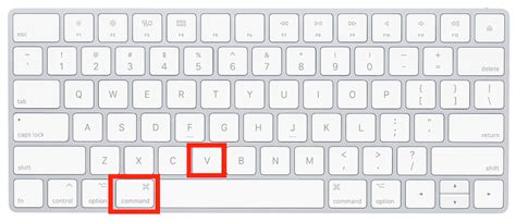 How to Copy and Paste on Mac | Macinstruct