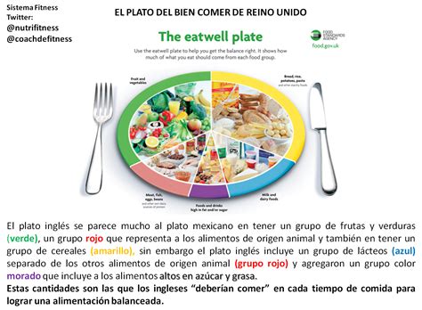 Nutricion Plato Del Buen Comer