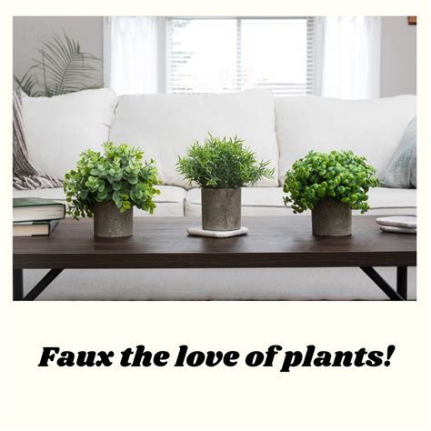 Coffee Table Plants