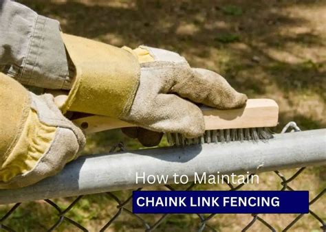 How To Upgrade And Maintain Chain Link Fencing Exclusive Guide