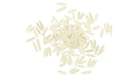 Oryza Sativa Rice Extract Weleda