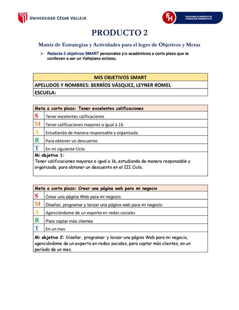 Matriz Objetivos Smart Producto Matriz De Estrategias Y Actividades