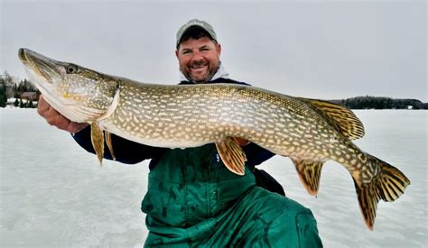 Ice-fishing for pike: 5 must-know strategies for catching wintertime ...