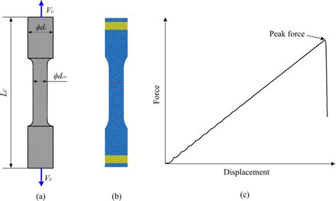 Tensile Test A Model Diagram B Simulation Process And C Download Scientific Diagram