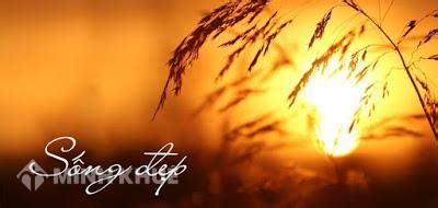 nghi luan xa hoi ve loi song dep chon loc hay nhat van