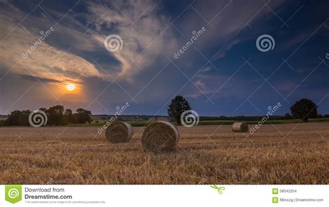 Stubble Field With Straw Bales Stock Photo Image Of Grain Landscape