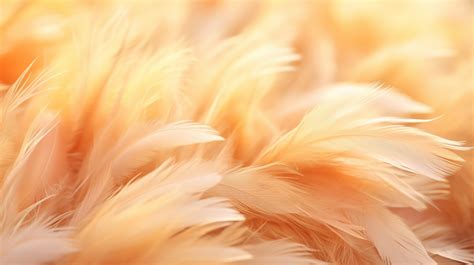 Soft And Blurred Abstract Background Delicate Feather Texture Of