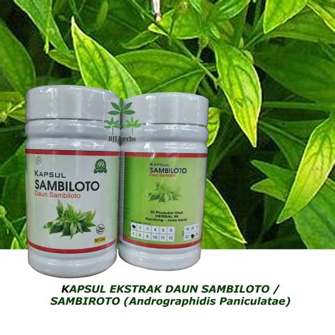 Jual Kapsul Sambiloto Sambiroto Herbal 99 Original Shopee Indonesia