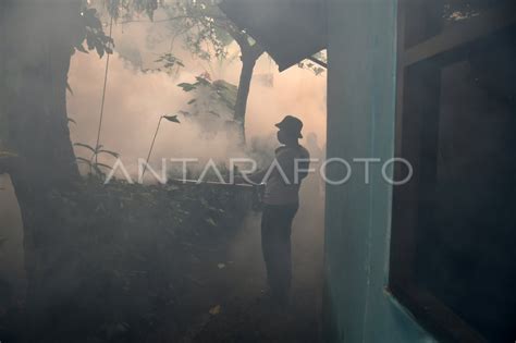 Jumlah Kasus Penyakit DBD Di Jawa Barat ANTARA Foto