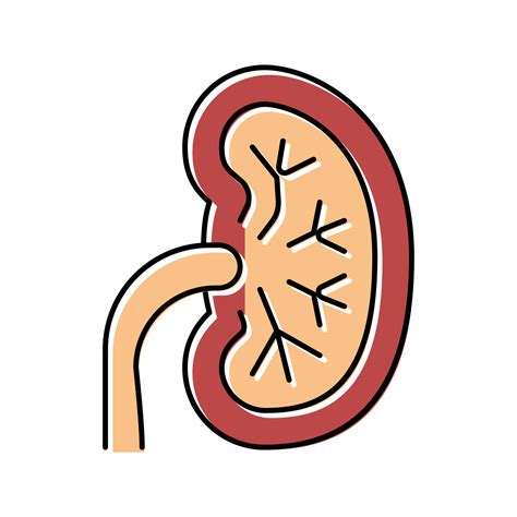 unhealthy kidney color icon vector illustration 18993486 Vector Art at