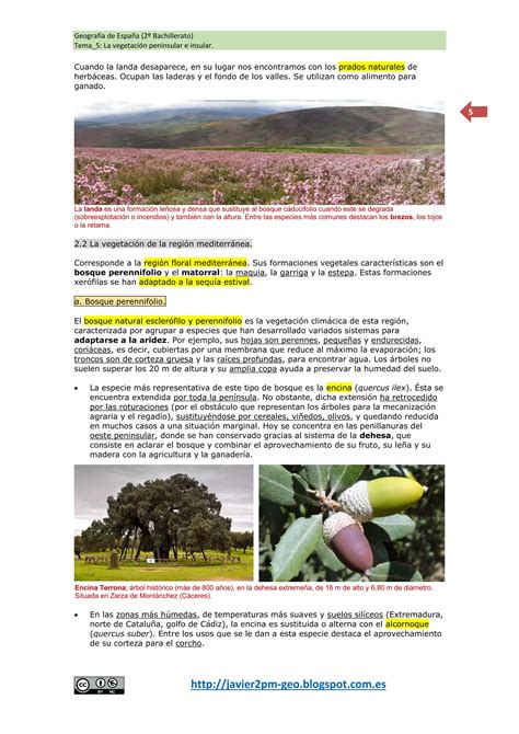 Los Paisajes Vegetales En España Pdf