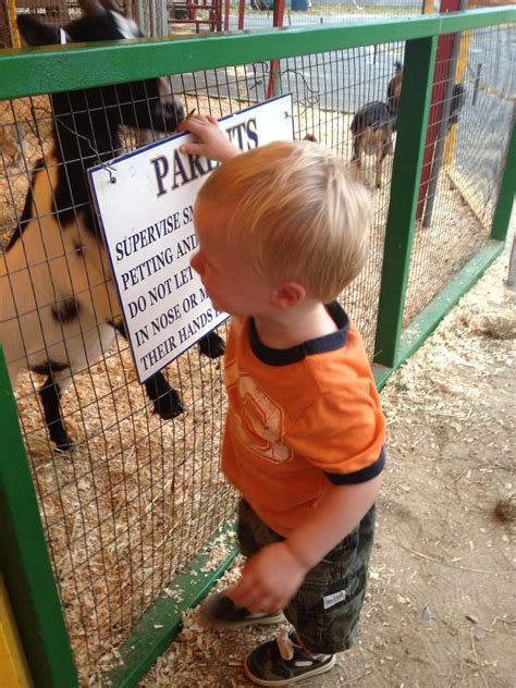 Barnstable County Fair. | County fair, Barnstable, Paks