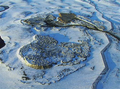 Prime Video: Secrets in the Ice - Season 1