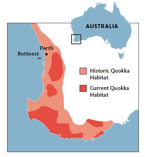 Quokka Habitat