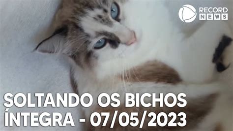 Soltando Os Bichos 07 05 2023 YouTube