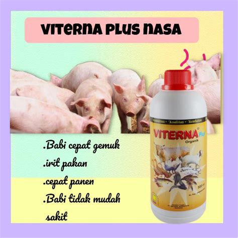 Jual Viterna Nasa Obat Penggemuk Babi Suplemen Penambah Berat