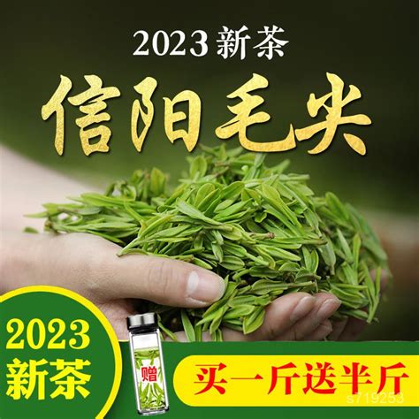 一品優味飲茶茶葉【買一斤送半斤】信陽毛尖2023新茶雨前春茶高山雲霧散裝綠茶 蝦皮購物