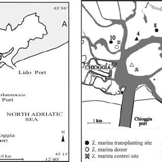 Map of the Venice lagoon (1A) with location of the ten stations (1B).... | Download Scientific ...