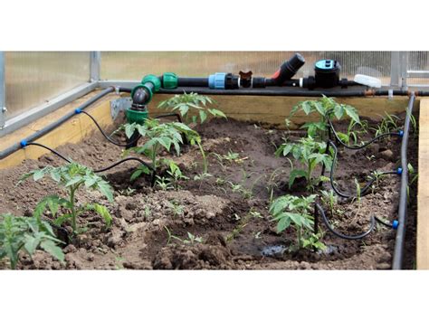 Капельный полив своими руками