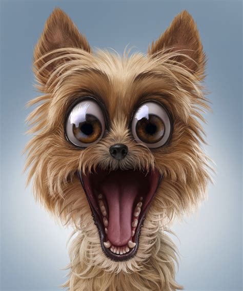Weekly Design Inspiration #235 | Fotos de animais engraçados, Lindos ...