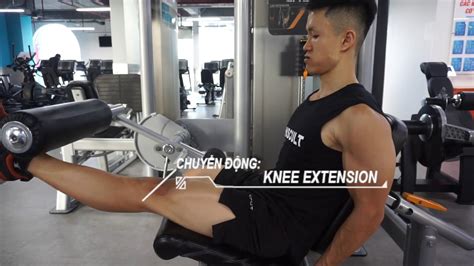 Unilateral Legs Extension For Strong Quadriceps Youtube