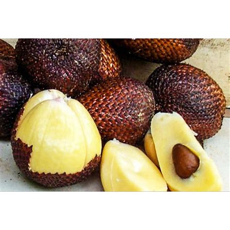 Buah Salak Madu New Projek Baka Dari Indonesia Jenis Salak Pondoh Gula