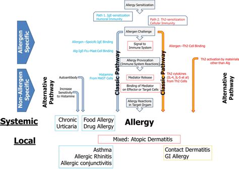 The Structure Of The Immunopathogenesis Of Allergic Diseases First