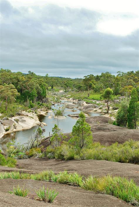 Cypress Pine Campground Boonoo Boonoo Nsw National Parks Places To