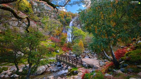 Trees Bridges Stones Waterfall River Viewes Mountains For Phone