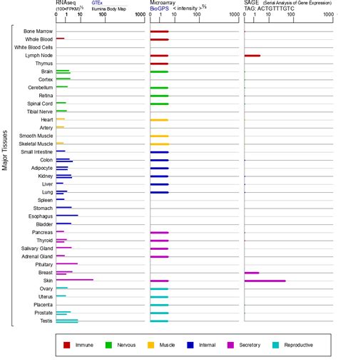 ABCA12 Gene - GeneCards | ABCAC Protein | ABCAC Antibody