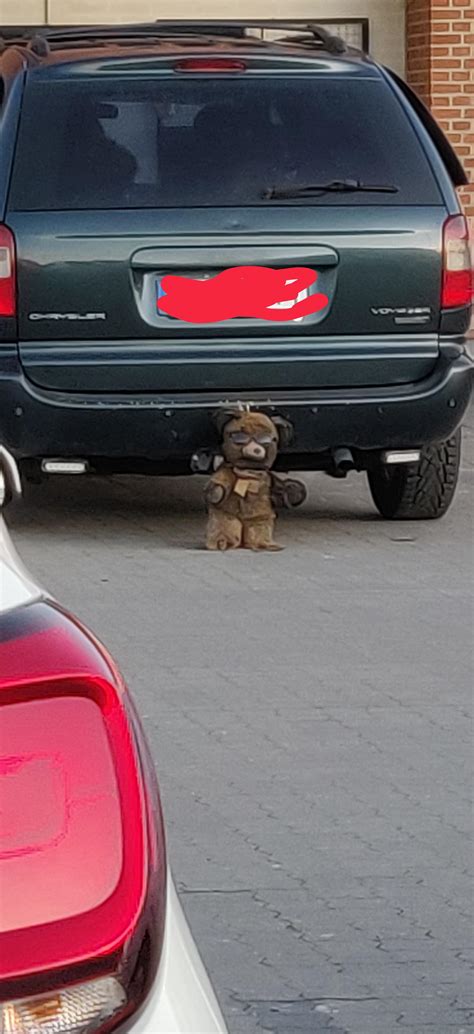 Det Er Sj Ldent Jeg Stopper Og T Nker What The Actual Fuck Til Bil Udsmykning Her I Landet