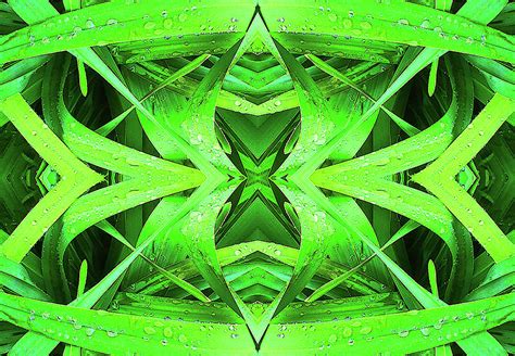 Seeing Green Digital Art By Sherrie Hall Pixels