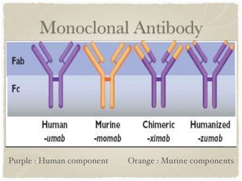 Biologic Therapy For Asthma