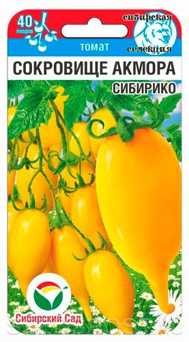 Томат Сокровище Акмора Сибирико, 20 шт. Сибирская селекция , купить в ...