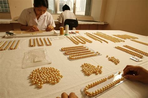 Golden Pearl Farming In Philippines