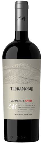 Terranoble Ca1 Andes Carmenere 2021 CAV Club De Amantes Del Vino