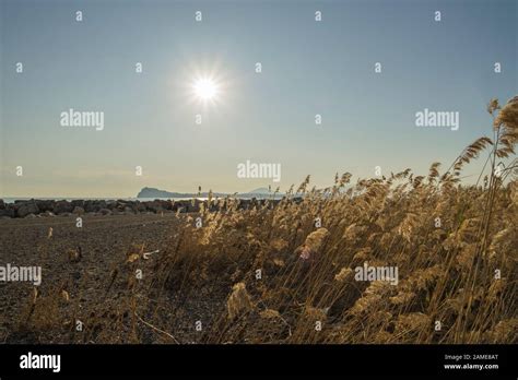 Acquamorta Beach Hi Res Stock Photography And Images Alamy