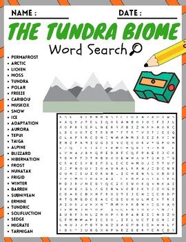 The Tundra Biome Word Search Puzzle Worksheets Activities Tpt