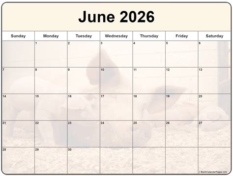 Collection of June 2026 photo calendars with image filters.