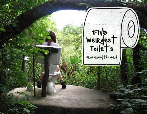 5 Weirdest Toilets from Around the World