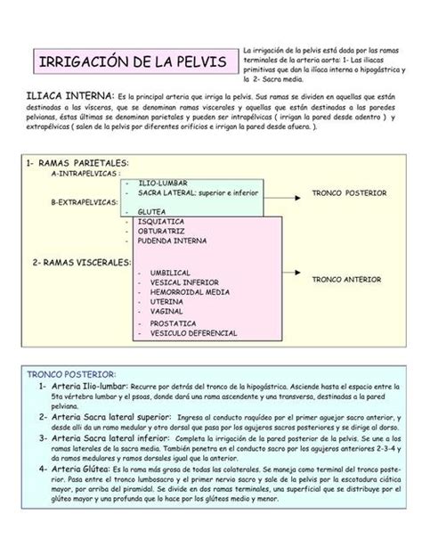 Irrigacion De Pelvis Lisette ResuMedIqObste UDocz