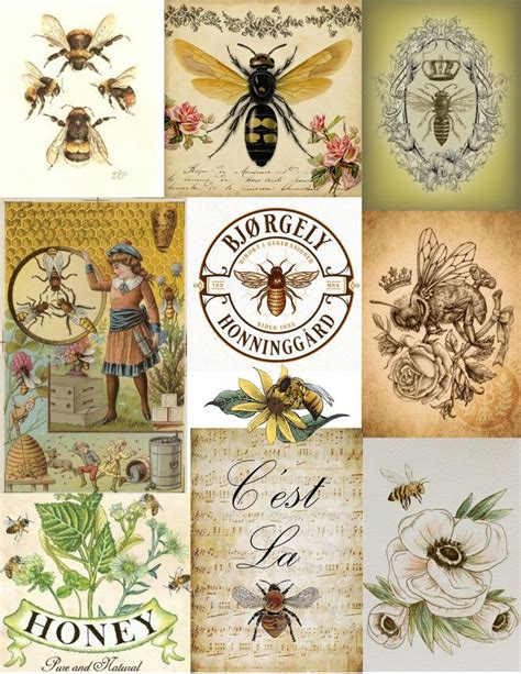 Honey Bee Ephemera For Junk Journals Tags Scrapbooks Bible Journals